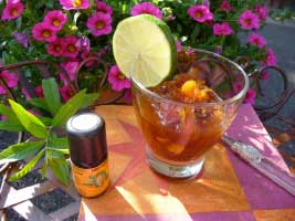 Chutney mit EuroAsia *bio