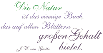 Die Natur ist das einzige Buch, das auf allen Blättern großen Gehalt bietet. Johann Wolfgang von Goethe